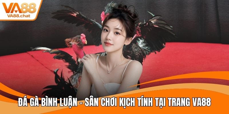 Đá gà bình luận