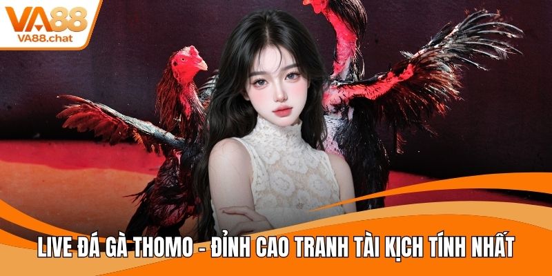 Live đá gà thomo