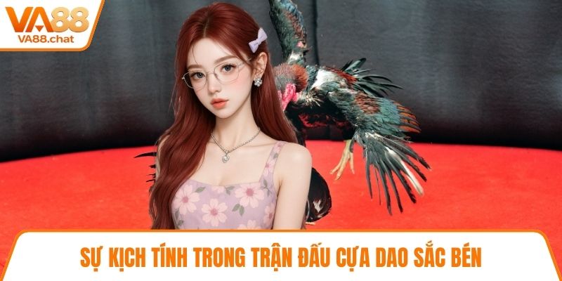Sự kịch tính trong trận đấu cựa dao sắc bén