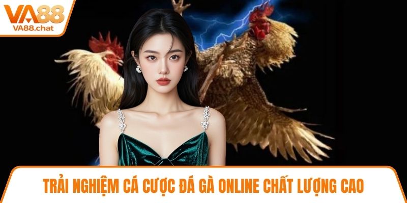 Trải nghiệm cá cược đá gà online chất lượng cao